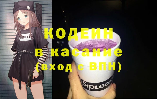 твердый Елизово