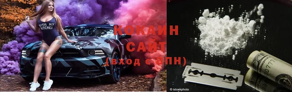 гашик Ельня