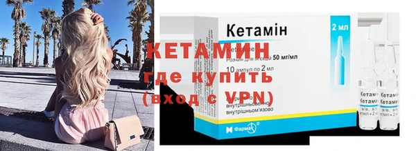 гашик Ельня