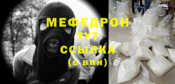 гашик Ельня