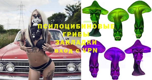 гашик Ельня