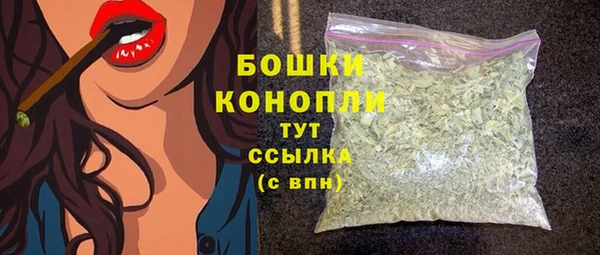 гашик Ельня