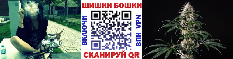 Купить где  Дивногорск  Шишки марихуана ГИДРОПОН 